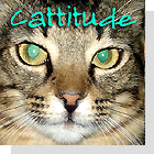 Cattitude-Cats as pets