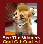 See the winners of the Pet Life Radio Cool Cat Contest!