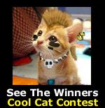 See the winners of the Pet Life Radio Cool Cat Contest!