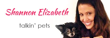 Shannon Elizabeth on Pet Life Radio