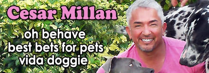 Cesar Millan & Pets