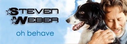 Steven Weber & Pets