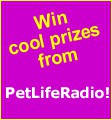 contest3