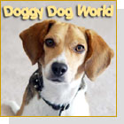 It's A Doggy Dog World-Dogs as pets