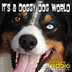 It's A Doggy Dog World - Dog Podcast about dogs as pets