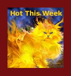 Check out what's 
hot on Pet Life Radio this week!