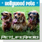 Hollywood Pets-celebrity pets
