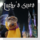Lucky's Stars-Pet Horoscopes