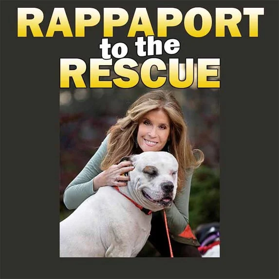 Want to know about Taylor Swift's Cats?  How about celebrity pets?  Find out on Rappaport to the Rescue pet podcast on Pet Life Radio