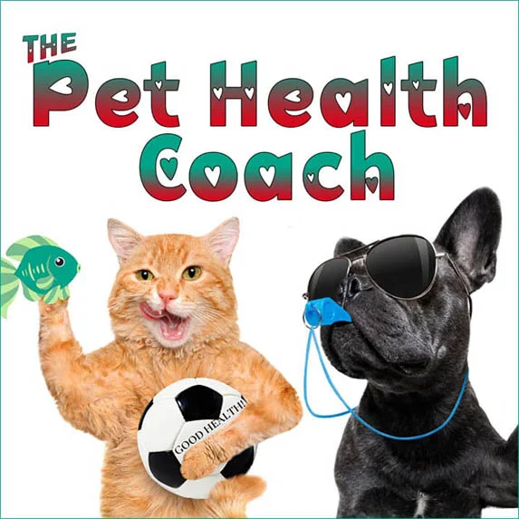 The Pet Health Coach pet podcast on Pet Life Radio