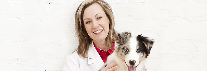 Dr. Kathryn Primm on Pet Life Radio
