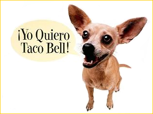 Gidget, the Taco Bell dog