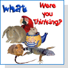 What Were You Thinking-Exotic animals as pets