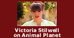 Victoria Stilwell on 'It's Me or The Dog' on Animal Planet