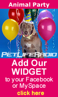 Get the Animal Party Widget for your MySpace, Blog or Facebook!