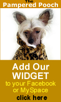 Get the Pampered Pooch Widget for your MySpace, Blog or Facebook!