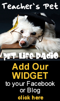 Get our widget for your Facebook or Blog!