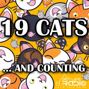 19 Cats And Counting on Pet Life Radio