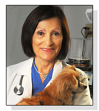 Dr. Alice Villalobos on Pet Life Radio