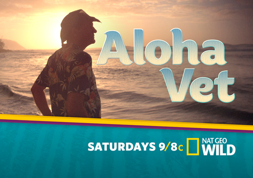 Aloha Vet on Pet Life Radio