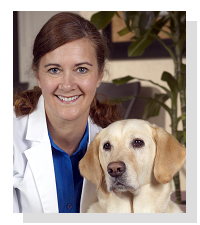 Dr. Amy Dicke 