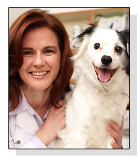 Dr. Angela Hughes l on Pet Life Radio