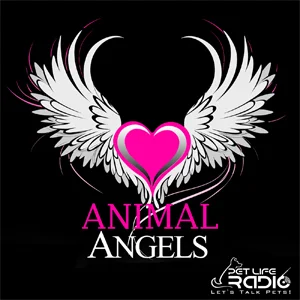 Animal Angels on Pet Life Radio