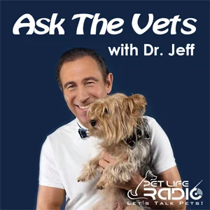 Ask the Vets with Dr. Jeff