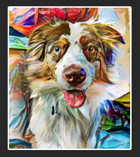 AugiDog Art  on Pet Life Radio