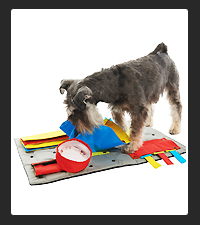 BUSTER ActivityMat on Pet Life Radio