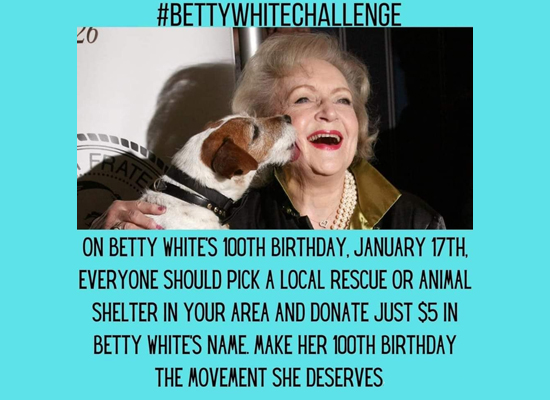 Betty White Challenge on Pet Life Radio