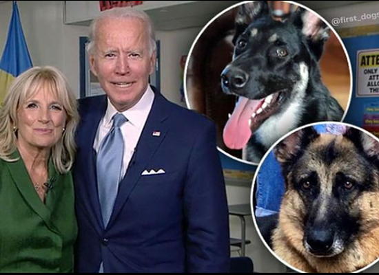 Bidens on Pet Life Radio