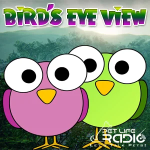 Bird's Eye View on Pet Life Radio