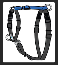 Blue-9 Balance Harness on Pet Life Radio