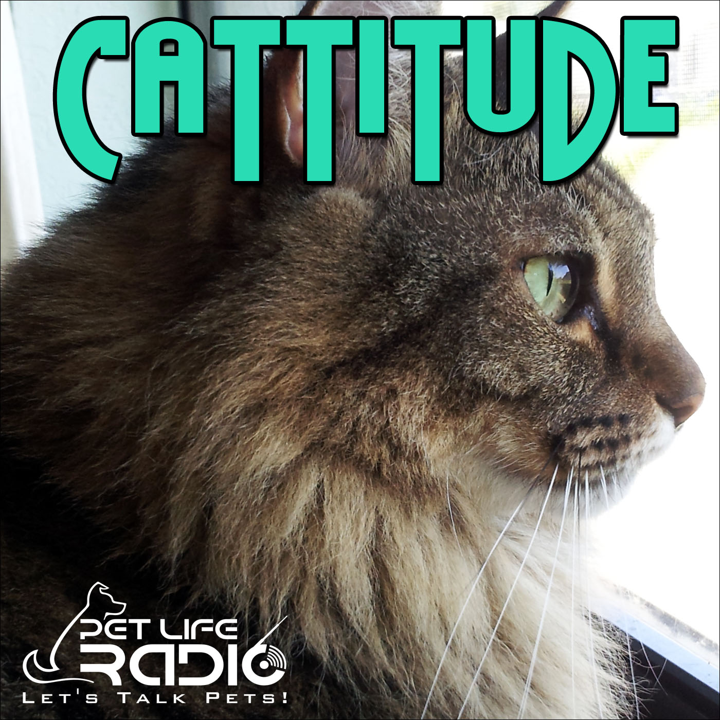 Cattitude - The #1 Cat Podcast About Cats As Pets- Pet Life Radio Original (PetLifeRadio.com) artwork