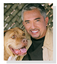 Cesar Millan, The Dog Whisperer