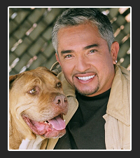 Cesar Millan on Pet Life Radio