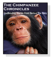 The Chimpanzee Chronicles on Pet Life Radio