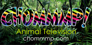Chommmp Animal TV