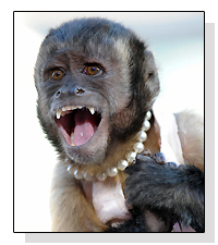 Crystal the Capuchin  on Pet Life Radio