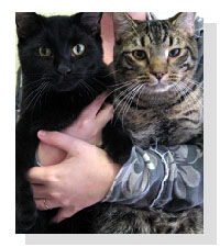 Adopt Danny & Eugene Today!