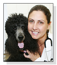 Dr Deirdre Chiaramonte  on Pet Life Radio