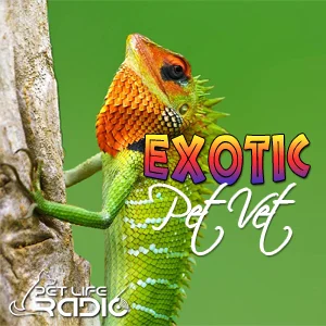 The Exotic Pet Vet on Pet Life Radio