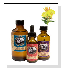 Flower Essences on Pet Life Radio