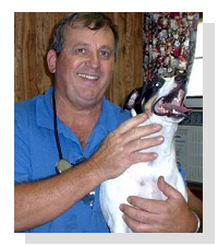 Dr. Gerald Wessner