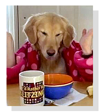 Breakfast At Ginger's on Pet Life Radio