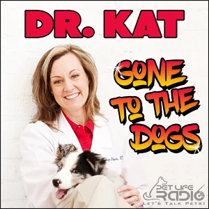 Dr. Kat Gone to the Dogs on Pet Life Radio