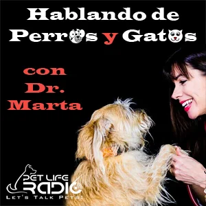 Hablando de Perros y Gatos con Dr Marta on Pet Life Radio