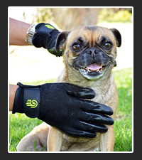 HandsOn Gloves  on Pet Life Radio