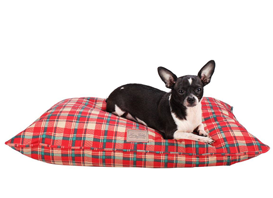 Harry Barker Dog Bed on Pet Life Radio